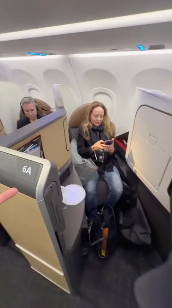 Woman accused of stealing seat in airplane